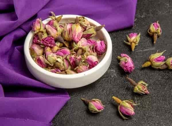 تصویر 5 از خرید گل محمدی دیم + قیمت فروش استثنایی